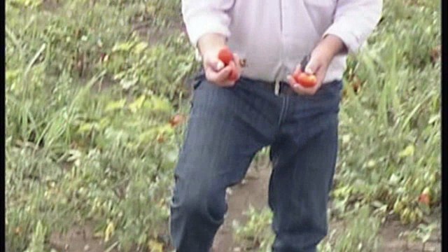 Σε απόγνωση οι αγρότες της Θήβας από τις καταιγίδες και το χαλάζι