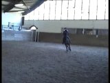 Litana saut vertical