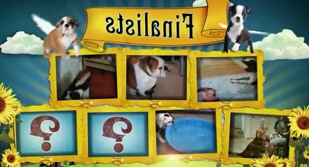 America Cutest S02xxE05 Dogs Snug A Licious - Part 02