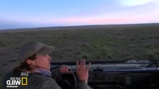 Safari Live Migration S01  E13 S 1, E 13 - Part 05