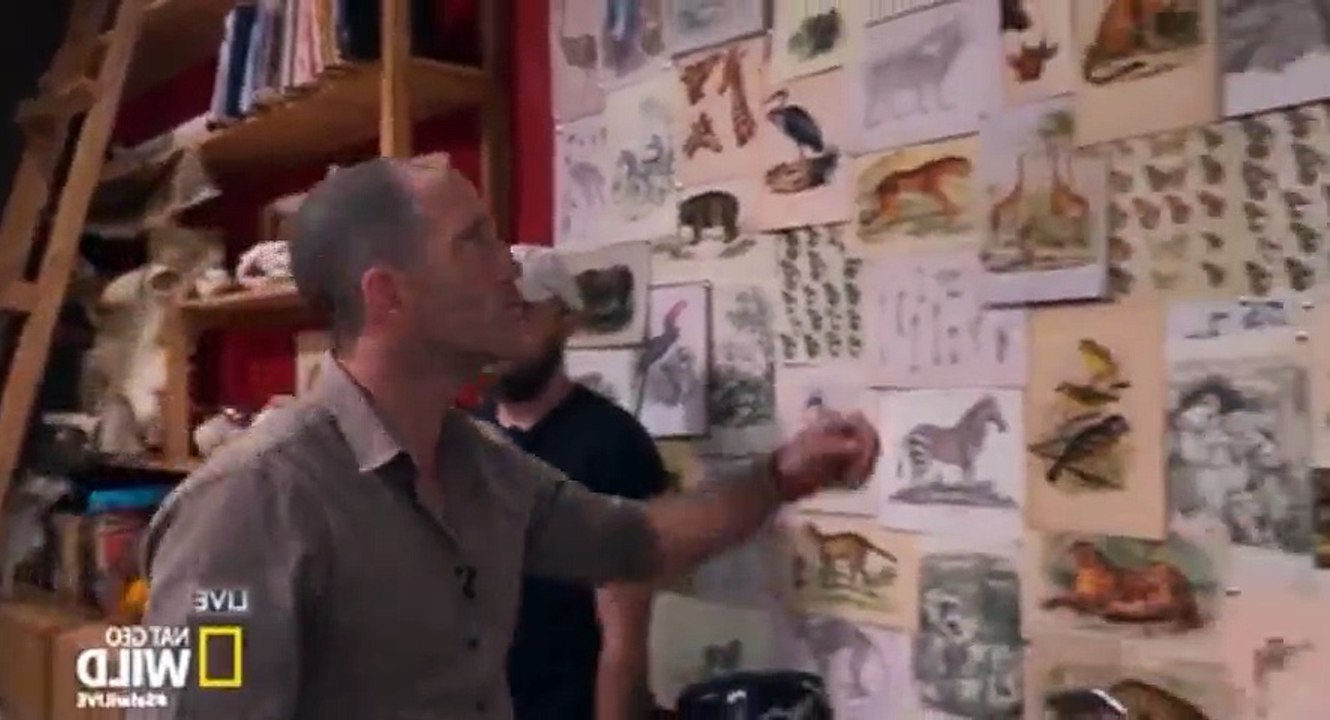 Safari Live Migration S01  E13 S 1, E 13 - Part 04