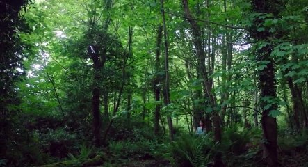 The Woman in White  2018  S01  E03   Part 02