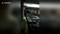 Wild elephant enters Indian army dining hall looking for food