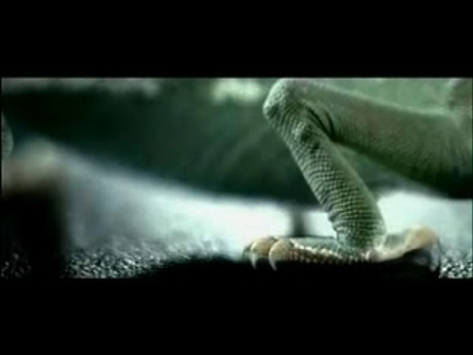 Budweiser: Chameleons