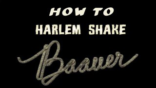 Baauer Harlem Shake [Official version HD]