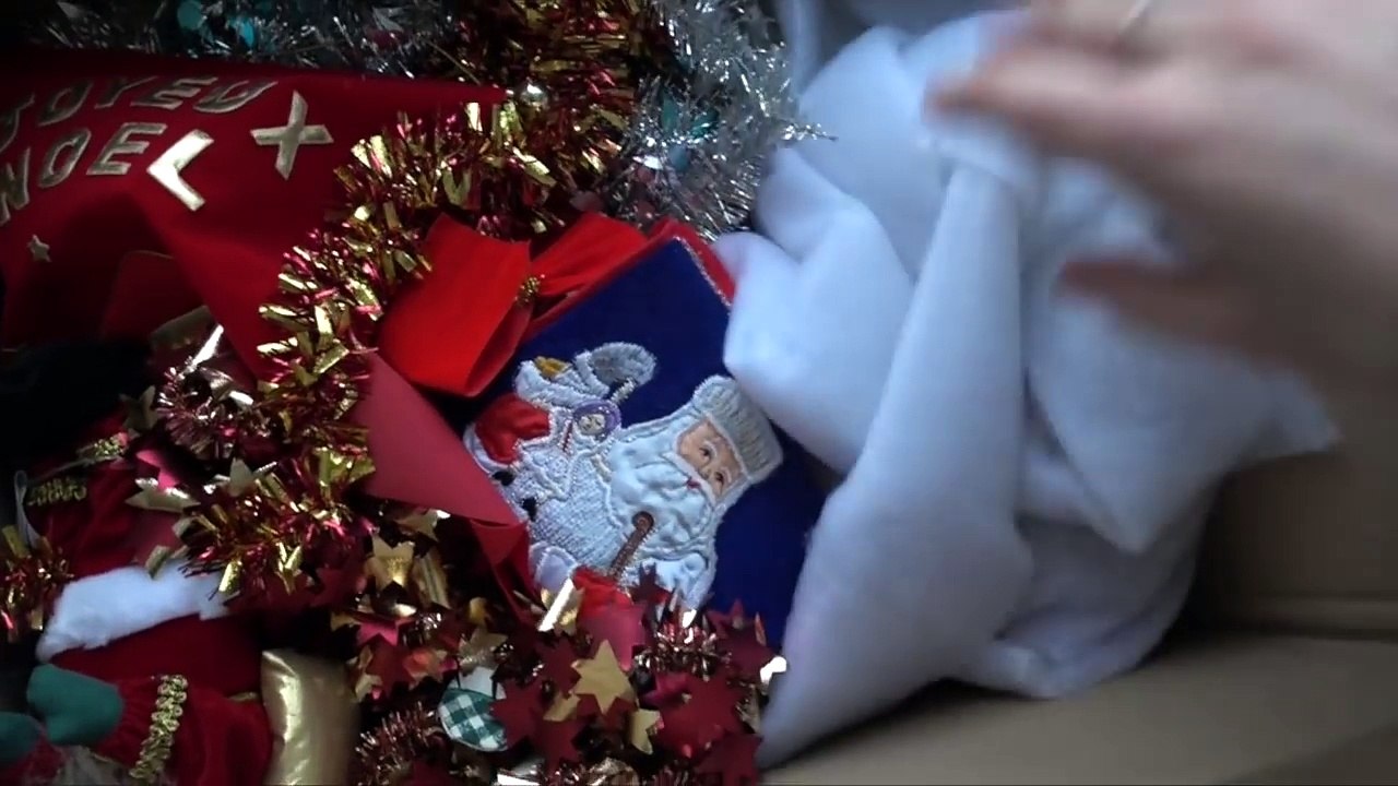 ON FAIT LE SAPIN DE NOEL ! - VLOG FAMILLE