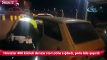 Hırsızlar 400 kiloluk danayı otomobile sığdırdı, polis bile şaşırdı