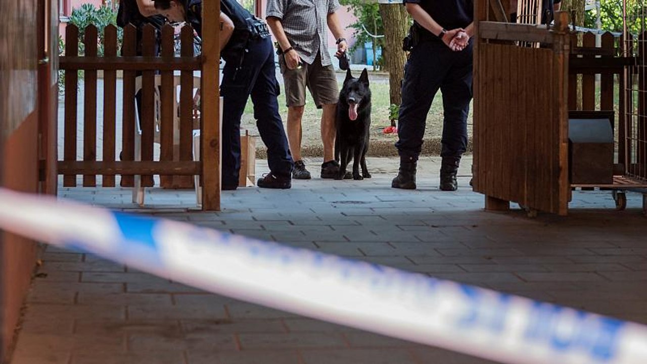 Mann mit Down Syndrom tot: Handelte Schwedens Polizei fahrlässig?