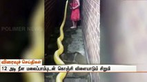 A small  girl playing with snake