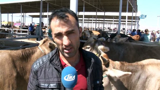 Kurbanlıklar pazara indi