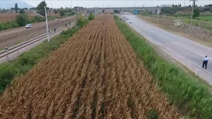 Cezaevi Firarisi "Drone" Yardımıyla Yakalandı