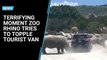 Terrifying moment zoo rhino tries to topple tourist van