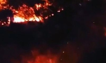 Puluhan Hektar Padang Rumput Pulau Komodo Terbakar