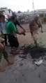 ‏مقطع فيديو يؤكد ان قصف سوق السمك يوم امس أمام مستشفى الثورة في ⁧‫#الحديدة‬⁩ سببه قذائف حوثية.⁧‫#اليمن‬⁩