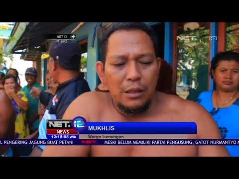 Penemuan Ular Piton Sepanjang 4 Meter Hebohkan Warga-NET12