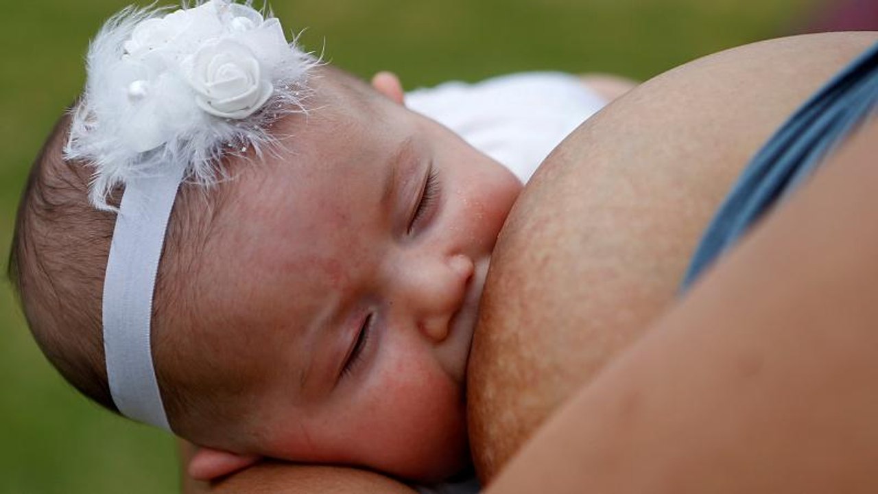 Rudel-stillen in kolumbien