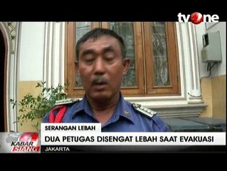 Evakuasi Sarang Lebah, 2 Petugas Disengat