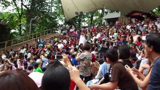 High Flyers Show At Jurong Bird Park