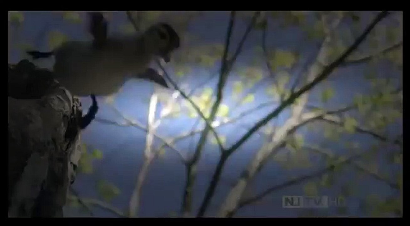 ʬ Ducks : Documentary on the Mysteries of Ducks...