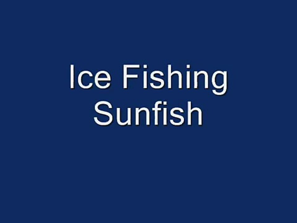 BIG Bluegills biting underwater video ion