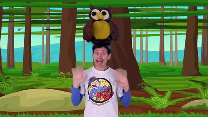 Walk In The Woods Animal Song with Matt | Action Song for Children | Learn English Kids