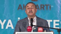 Bakan Çavuşoğlu: 