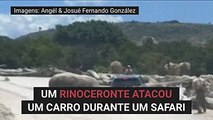 Rinoceronte ataca carro em safari