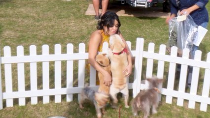 Vanessa Hudgens Plays With Dogs