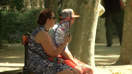 유럽도 연일 기록적인 폭염에 시달려 / YTN