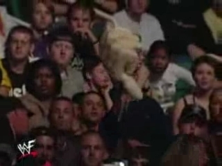 survivor series 2001