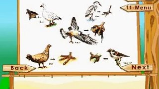 Learn Science Class 3 Animal Life Feet And Claws Of Birds Animation
