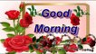 GOOD MORNING VIDEO...Whatsaap Wishes. Quotes...Bea