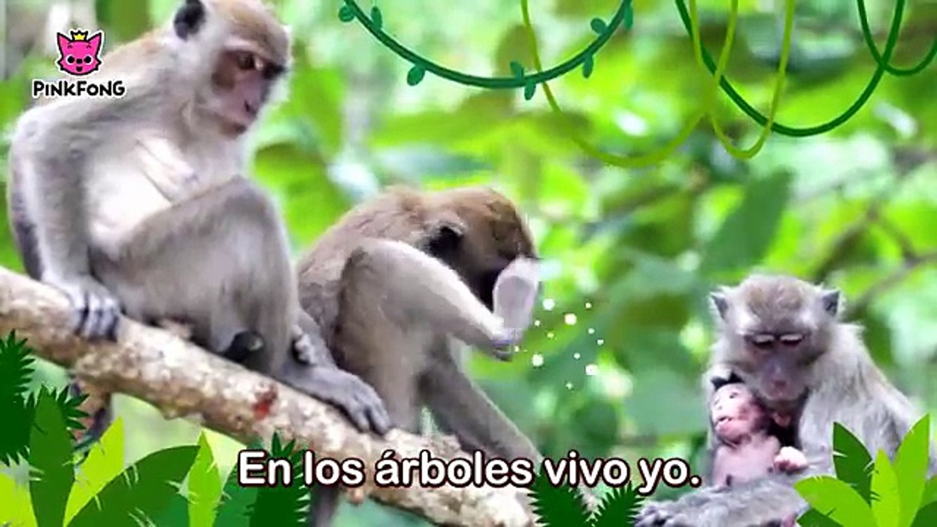 Mono loco Salomón - Canciones Infantiles - Toobys - video Dailymotion
