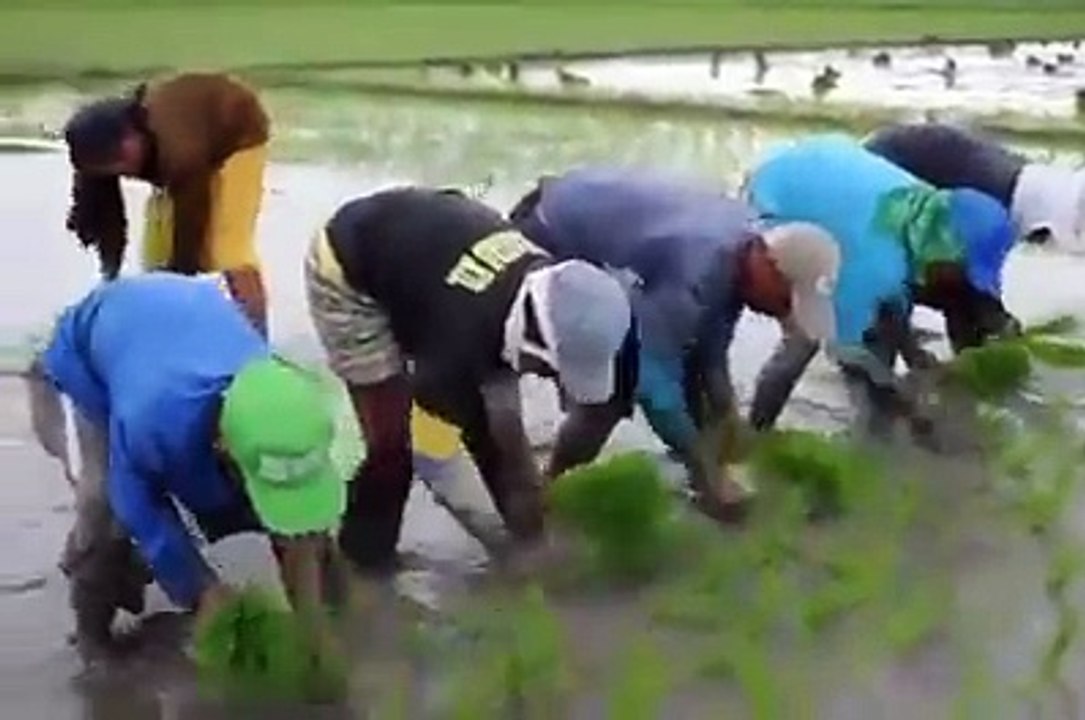 Prank Funny videos