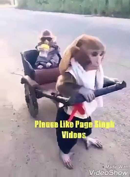 monkey drive bike