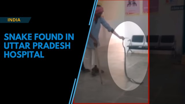 Watch: Snake found in hospital in Uttar Pradesh's Bahraich