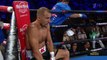 Сергей Ковалев-Элейдер Альварес полный бой НОКАУТ Sergey Kovalev-Eleider Alvarez full fight KO HD