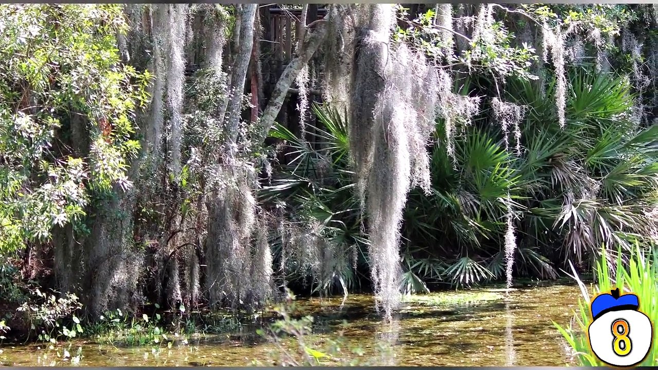 8 Creepiest Discoveries Weve Ever Made