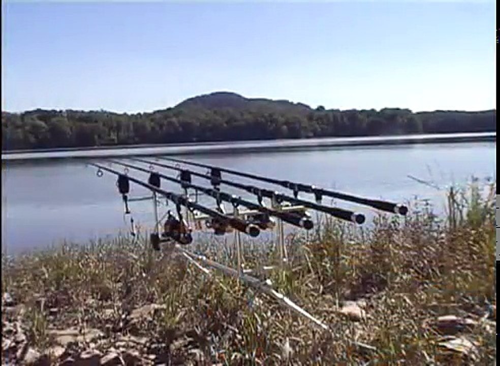 Big Carp Fishing Big Run