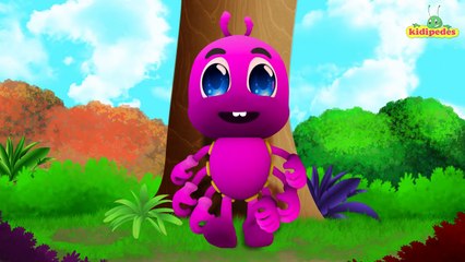 Incy Wincy Spider 3D Nursery Rhymes Collection I Children Songs