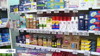 Marre des moustiques qui vous dévorent pendant l'été ? Voici les solutions pour s'en débarrasser - Regardez