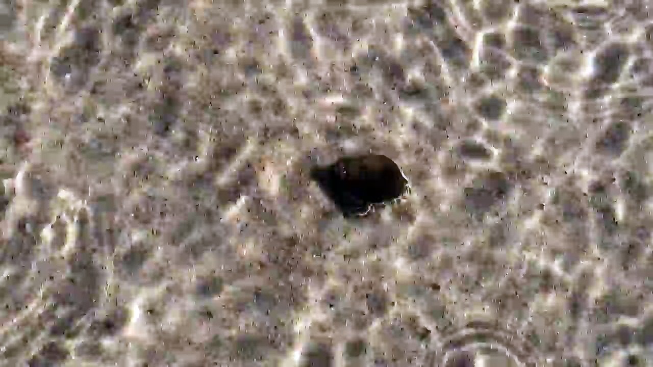 Crystal Clear Water New Smyrna Beach Florida (The Best of Daytona Beach) Summer Trip Vlog