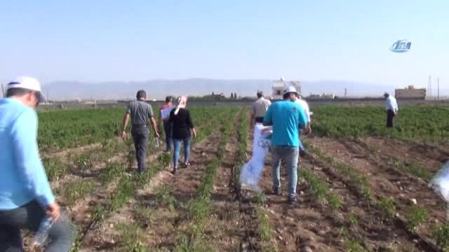 Terör Yerini Huzura Bıraktı, Çiftçinin Yüzü Güldü