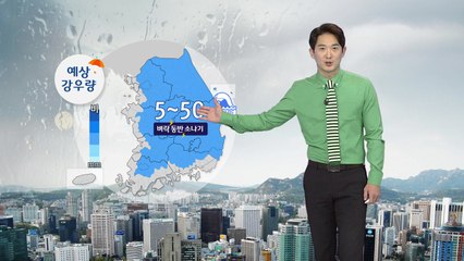 [날씨] 최악의 고비 넘겼다...동해안 비·내륙 소나기 / YTN