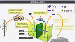 (1)CBSE Class 12 Chemistry, Electrochemistry – 1, Electrochemical and Galvanic Cells
