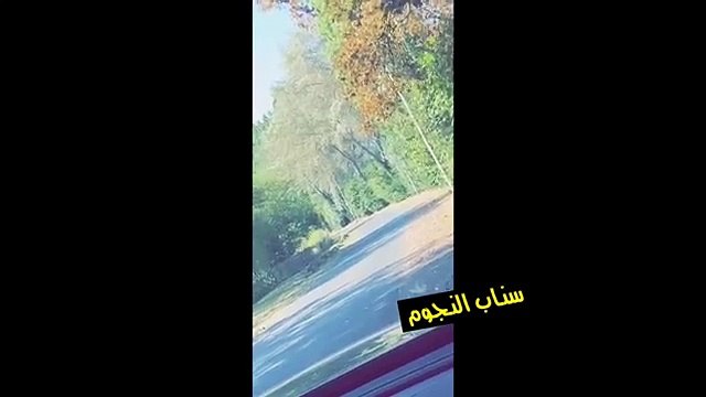 فيديو مبارك الهاجري زوج أحلام الشامسي يثير غيرتها بتصرفه المفاجئ