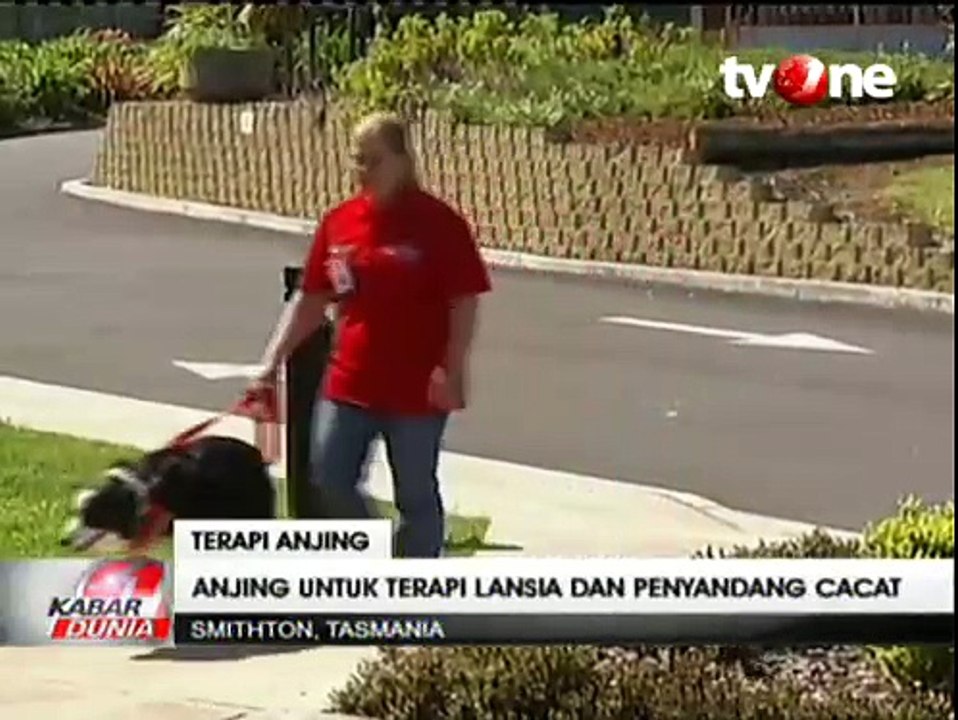 Anjing Bantu Terapi Lansia dan Penyandang Disabilitas