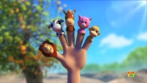 Animals Finger Family | Nursery Rhymes Song For Babies | 3D Rhyme Childrens Video | kids