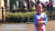 Zara wisata ke kebun binatang ragunan ragunan zoo