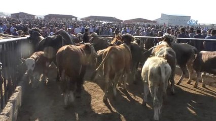 Kurban Pazarında Bayram Hareketliliği